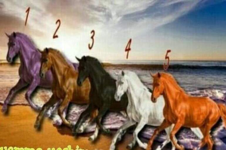 Psixologik test: Qanday insonlarga yoqasiz?