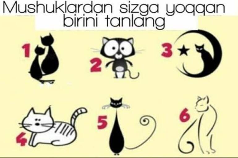 O’zingiz haqingizda bilishni istaysizmi?
